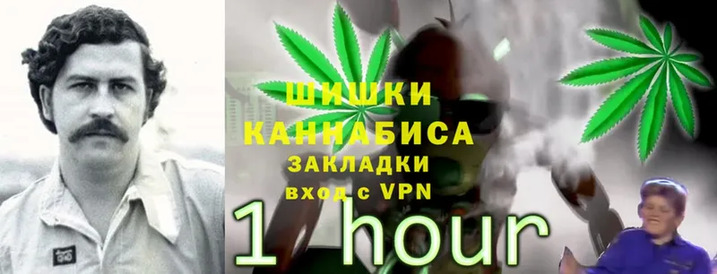 Бошки Шишки THC 21%  Олонец 